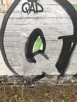 Q